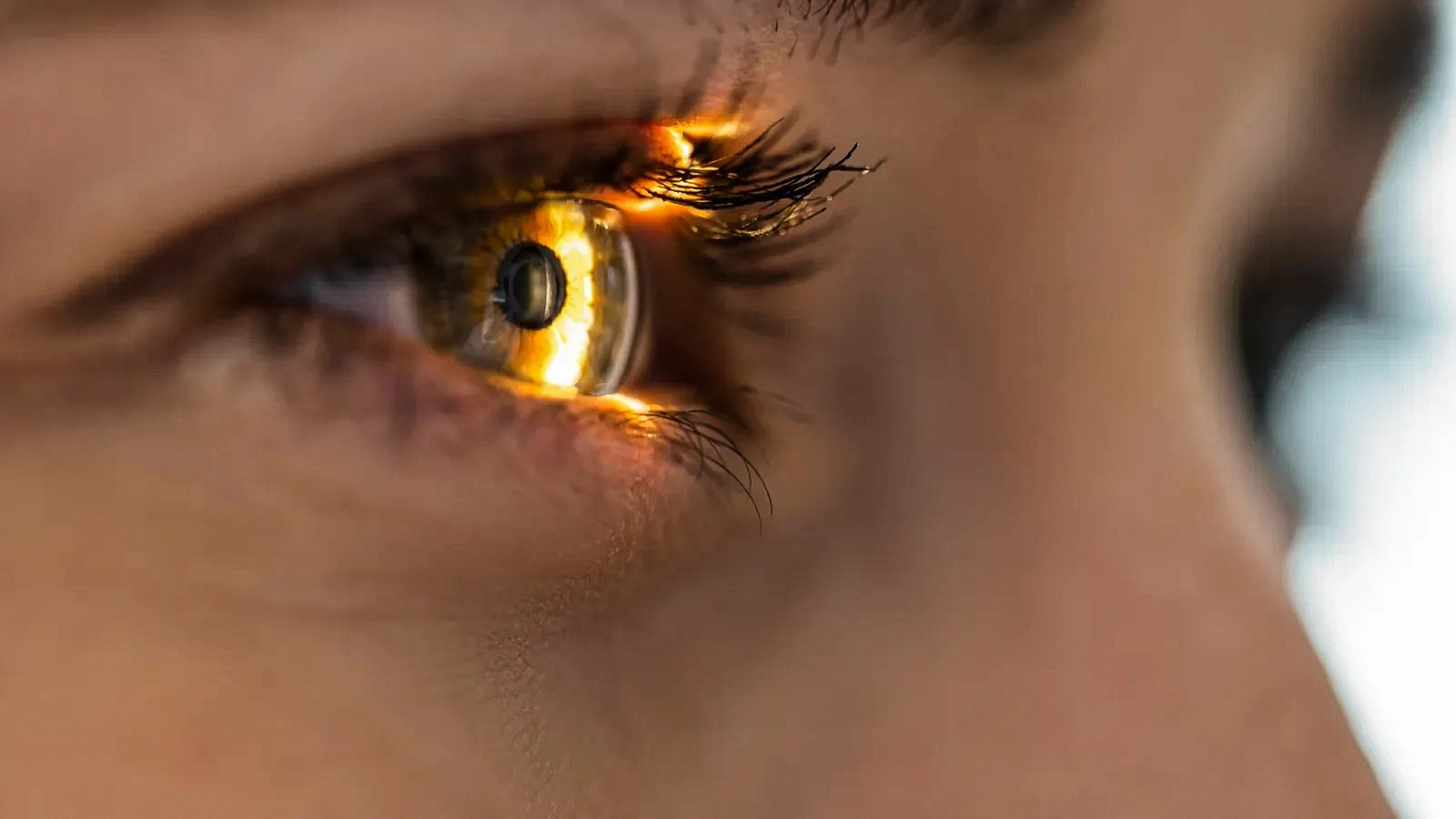 Ollin Biosciences Bags $330M to Take Eye Drug Into Phase 3