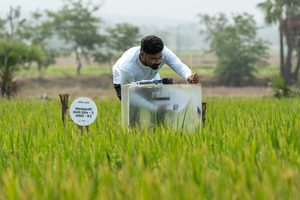 mitti-labs-measurement-chamber