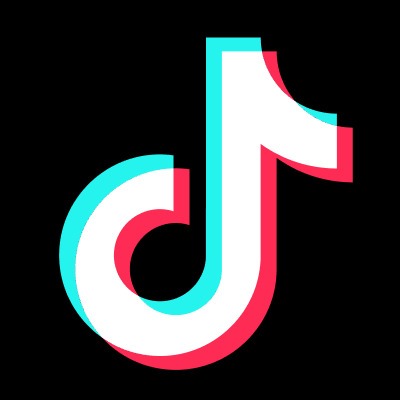 TikTok Lawsuit Puts a Northern Nigeria Blockage in Focus